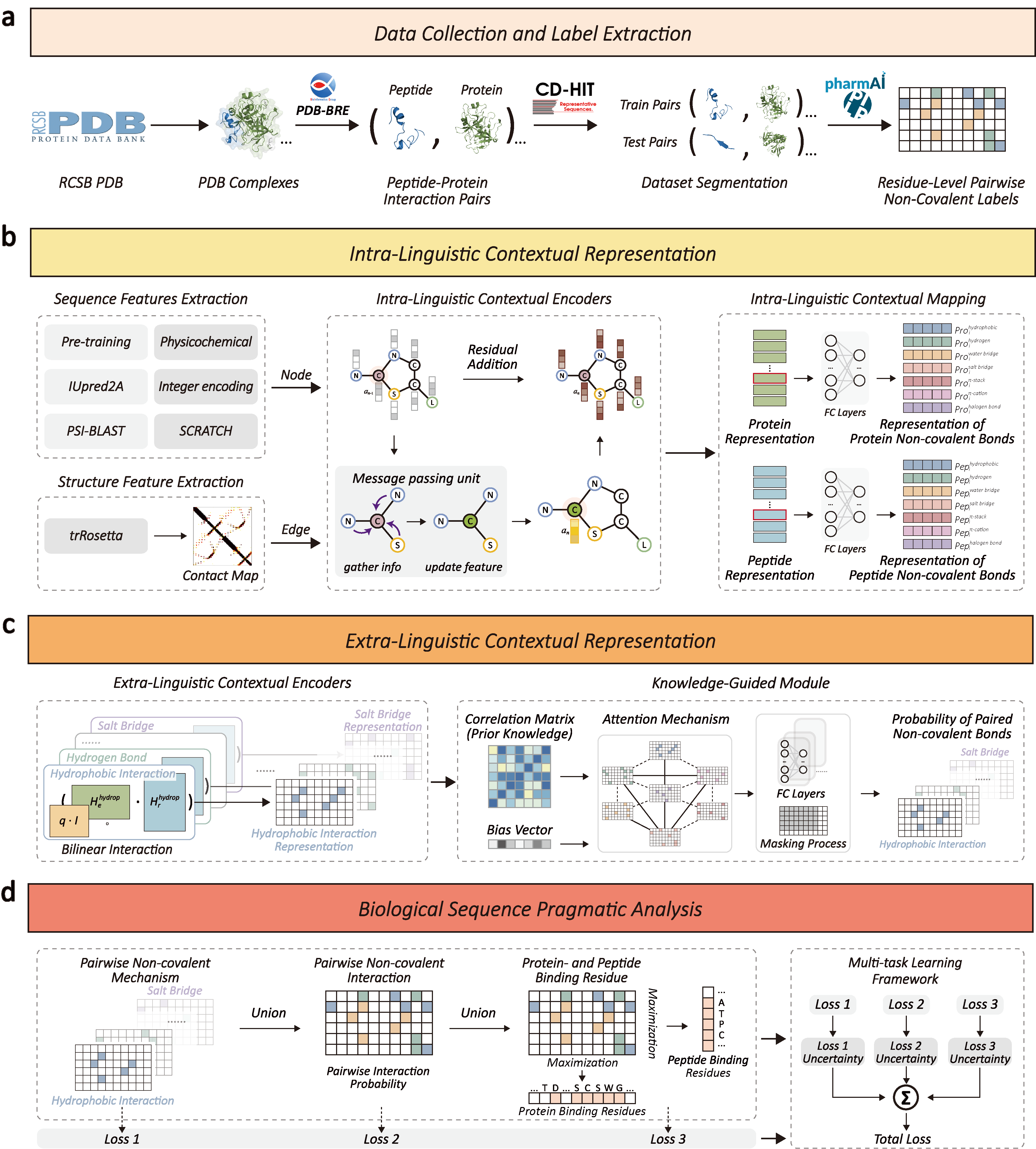 KGIPA Model Architecture